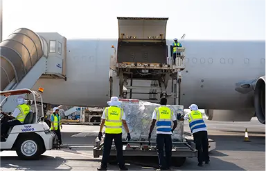 Cargo & Logistics